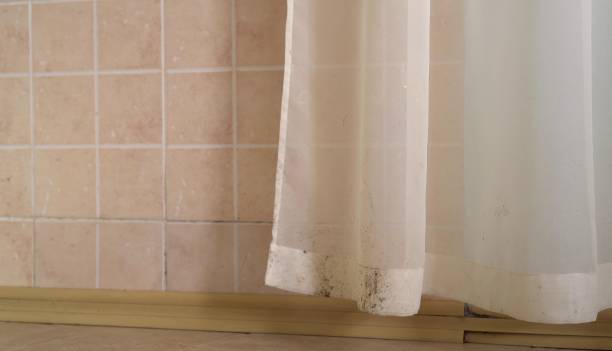 Best Commercial Mold Inspection  in Kent Acres, DE