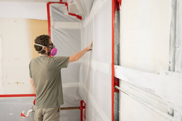Best Asbestos and Lead Testing During Mold Inspection  in Kent Acres, DE