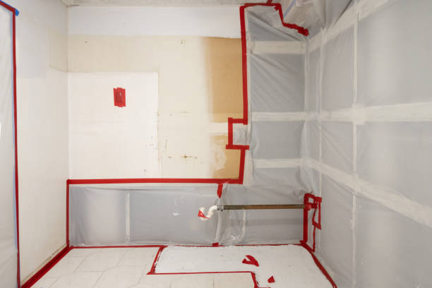 Best Real Estate Mold Inspection  in Kent Acres, DE