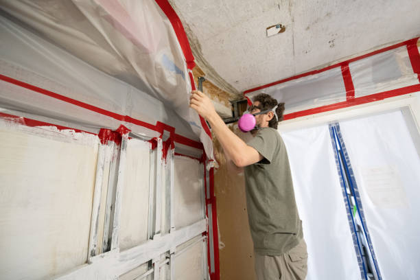 Best Environmental Consulting for Mold Prevention  in Kent Acres, DE