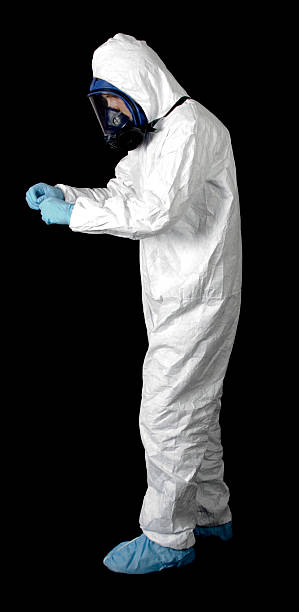 Best Basement Mold Removal  in Kent Acres, DE