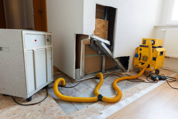 Best Biohazard Mold Removal  in Kent Acres, DE