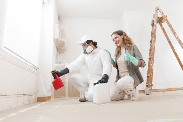 Best Air Quality Testing for Mold Spores  in Kent Acres, DE