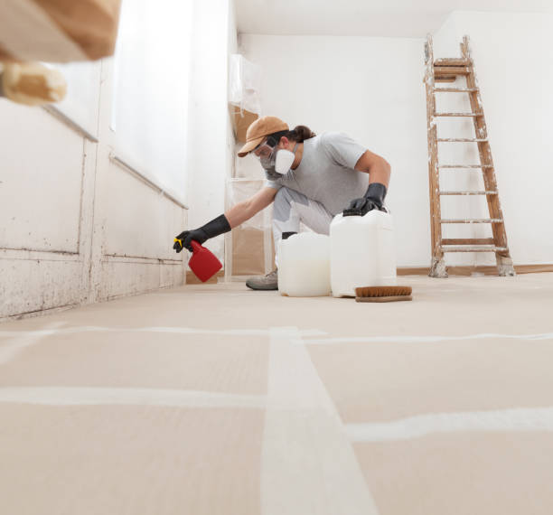 Environmental Consulting for Mold Prevention in Kent Acres, DE
